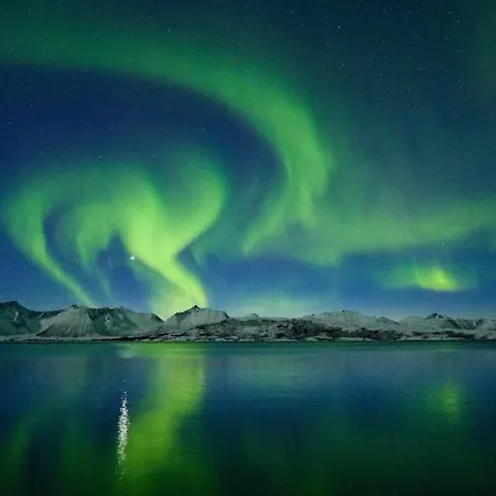 Hytte Wonderinn Arctic *