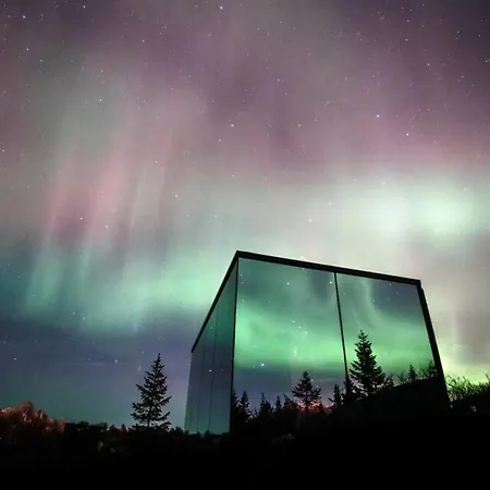 Wonderinn Arctic *