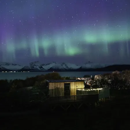 Lodge Wonderinn Arctic *
